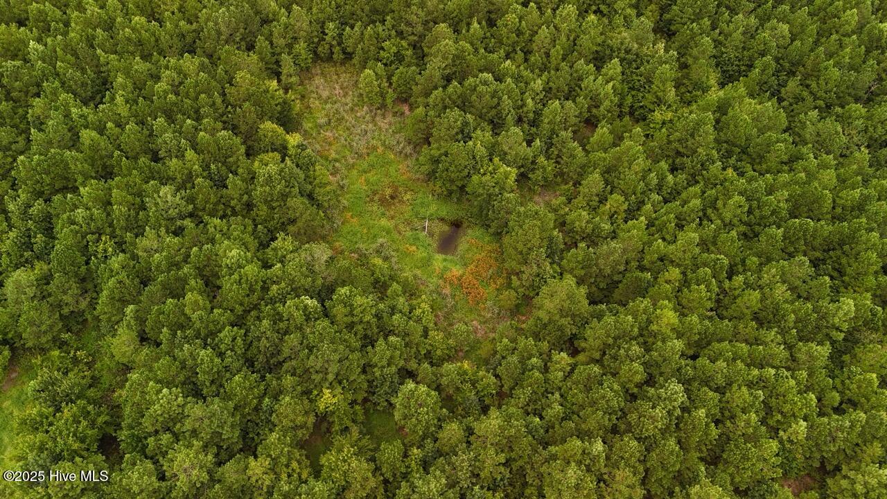 Off Oriental Road Oriental, NC 28571 - Photo 12 of 29 DJI_20250812142959_0460_D Large