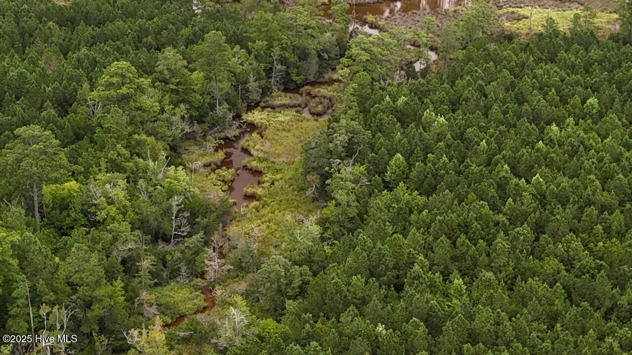 Off Oriental Road Oriental, NC 28571 - Photo 13 of 29 DJI_20250812143046_0461_D Large