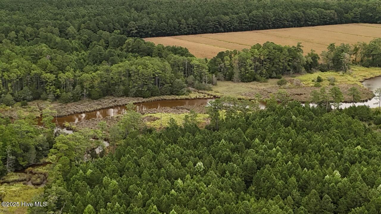 Off Oriental Road Oriental, NC 28571 - Photo 14 of 29 DJI_20250812143056_0462_D Large