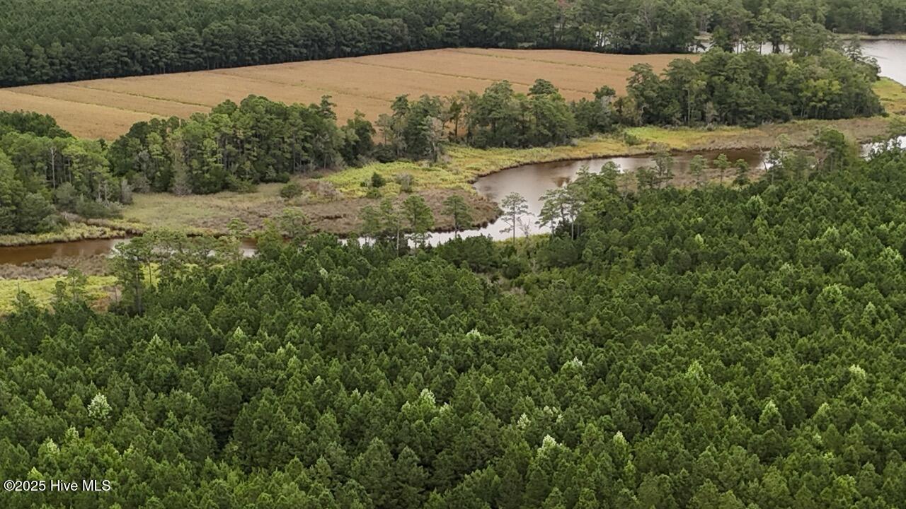 Off Oriental Road Oriental, NC 28571 - Photo 15 of 29 DJI_20250812143059_0463_D Large