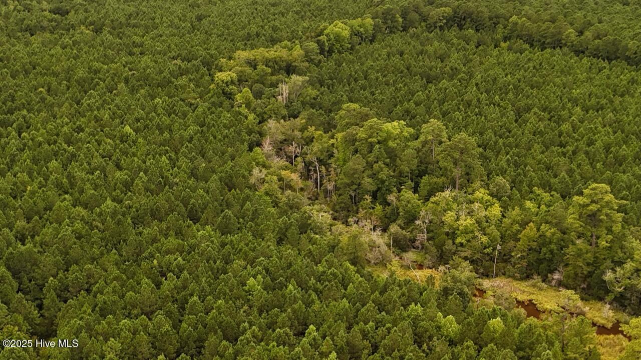 Off Oriental Road Oriental, NC 28571 - Photo 16 of 29 DJI_20250812143214_0465_D Large