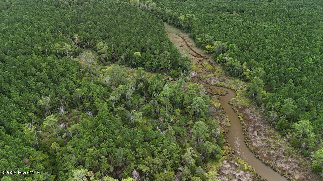 Off Oriental Road Oriental, NC 28571 - Photo 18 of 29 DJI_20250812143326_0467_D Large