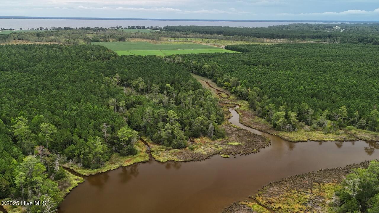 Off Oriental Road Oriental, NC 28571 - Photo 19 of 29 DJI_20250812143356_0468_D Large