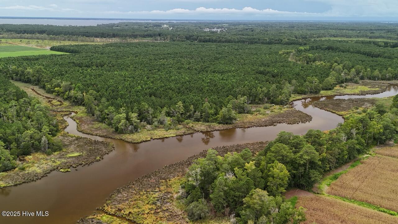 Off Oriental Road Oriental, NC 28571 - Photo 20 of 29 DJI_20250812143400_0469_D Large