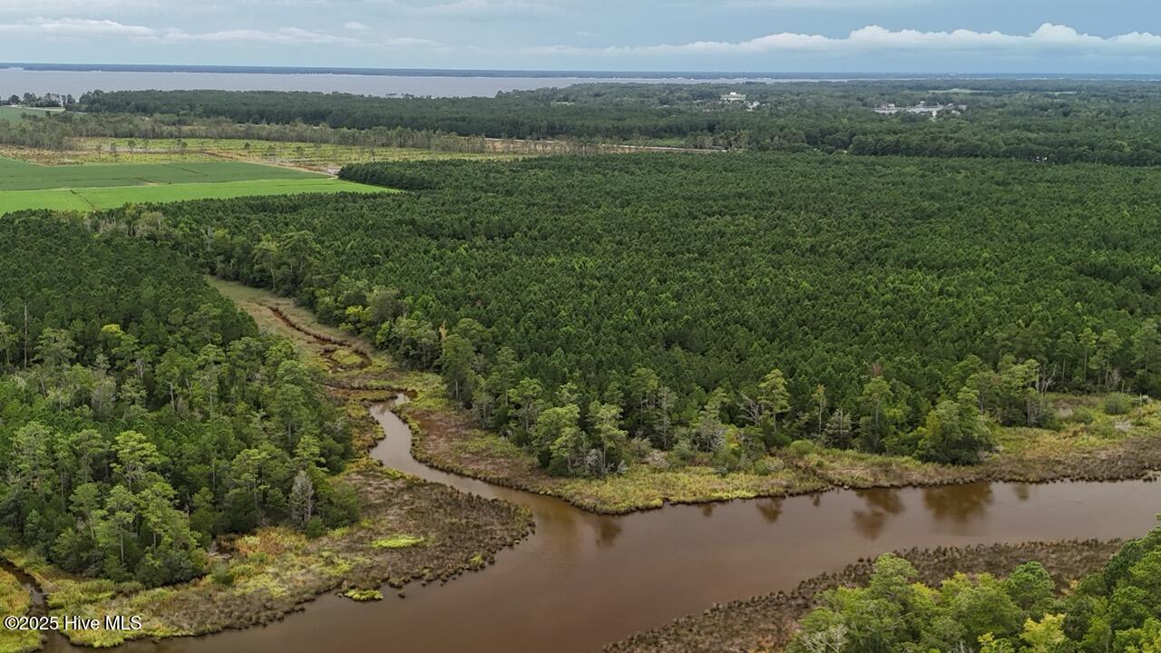 Off Oriental Road Oriental, NC 28571 - Photo 22 of 29 DJI_20250812143446_0471_D Large