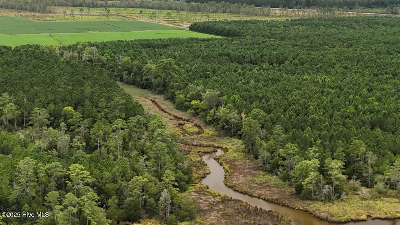 Off Oriental Road Oriental, NC 28571 - Photo 23 of 29 DJI_20250812143452_0472_D Large