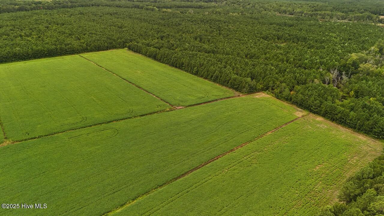 Off Oriental Road Oriental, NC 28571 - Photo 24 of 29 DJI_20250812143652_0473_D Large