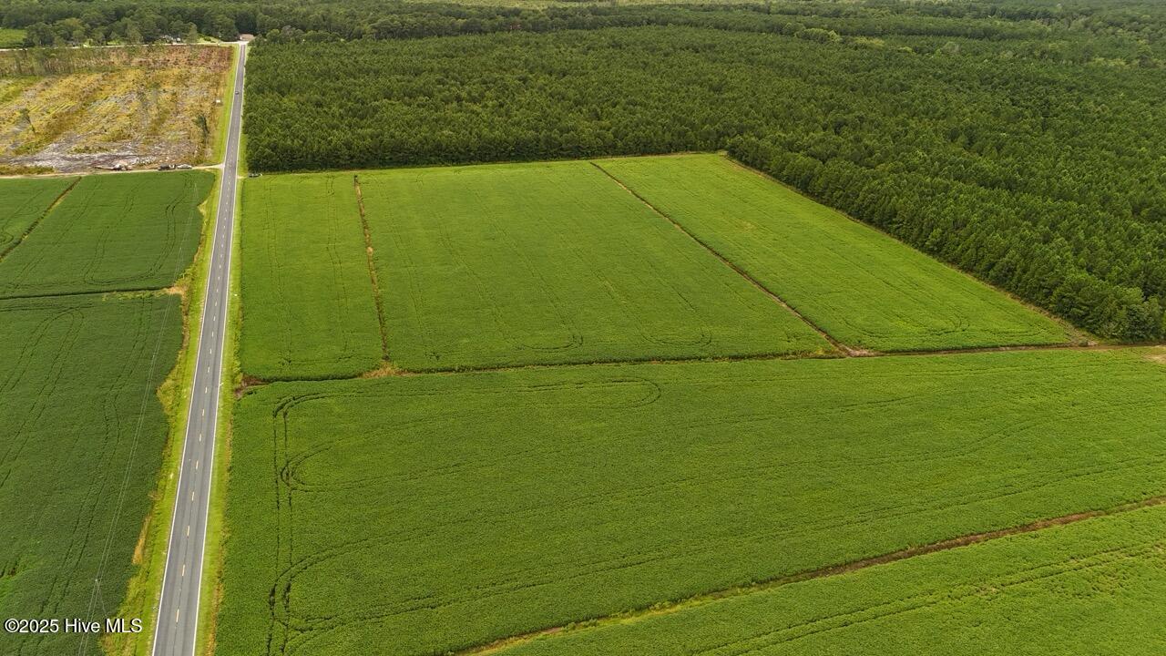 Off Oriental Road Oriental, NC 28571 - Photo 25 of 29 DJI_20250812143700_0474_D Large
