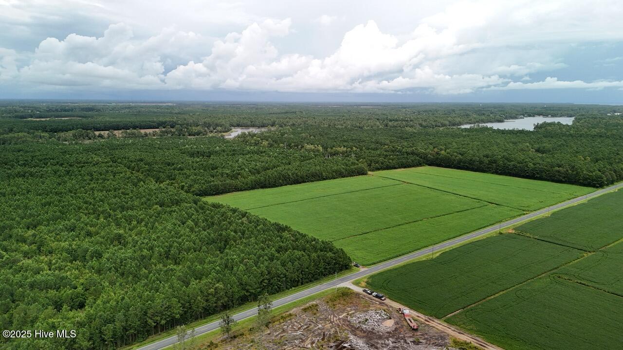 Off Oriental Road Oriental, NC 28571 - Photo 29 of 29 DJI_20250812144025_0479_D Large