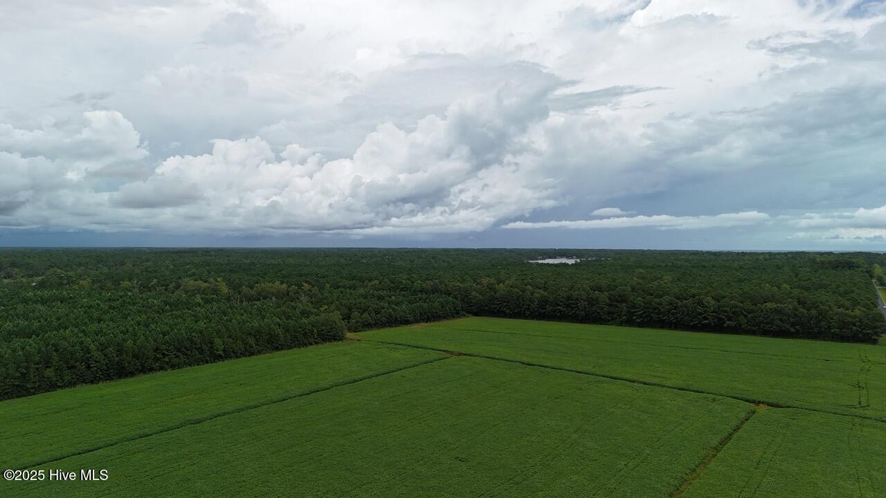 Off Oriental Road Oriental, NC 28571 - Photo 3 of 29 DJI_20250812142728_0451_D Large