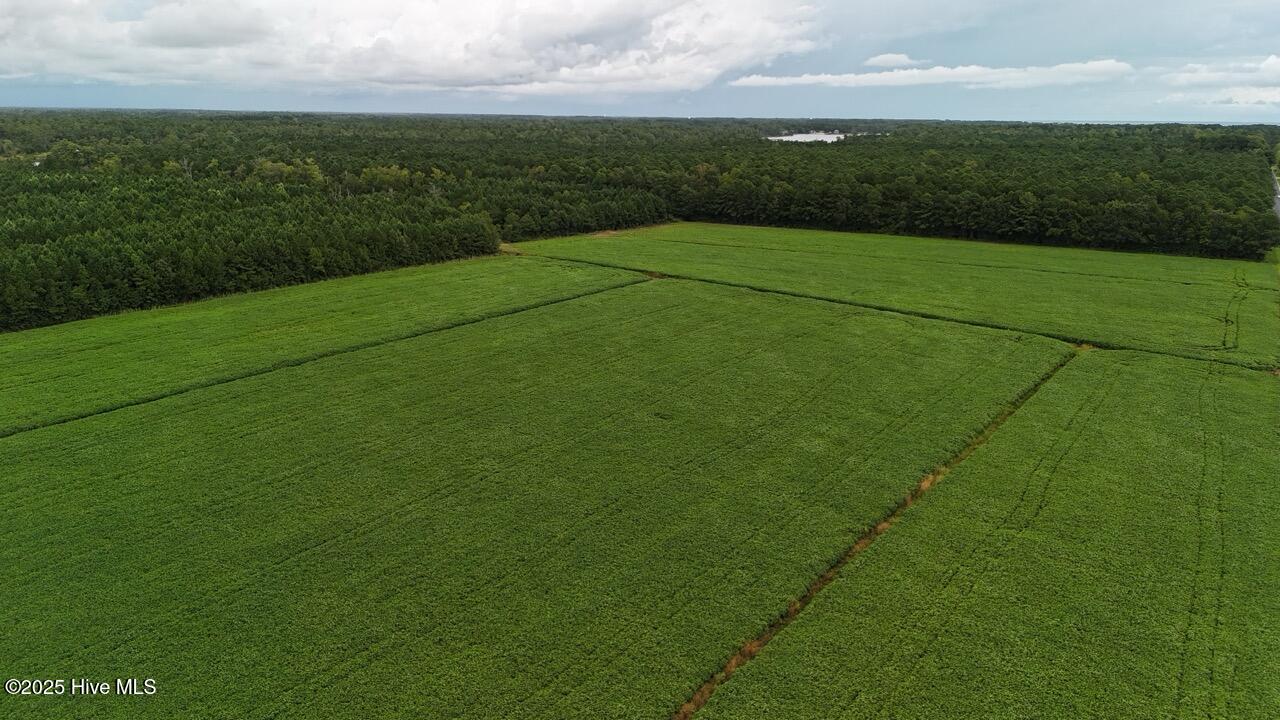 Off Oriental Road Oriental, NC 28571 - Photo 4 of 29 DJI_20250812142732_0452_D Large