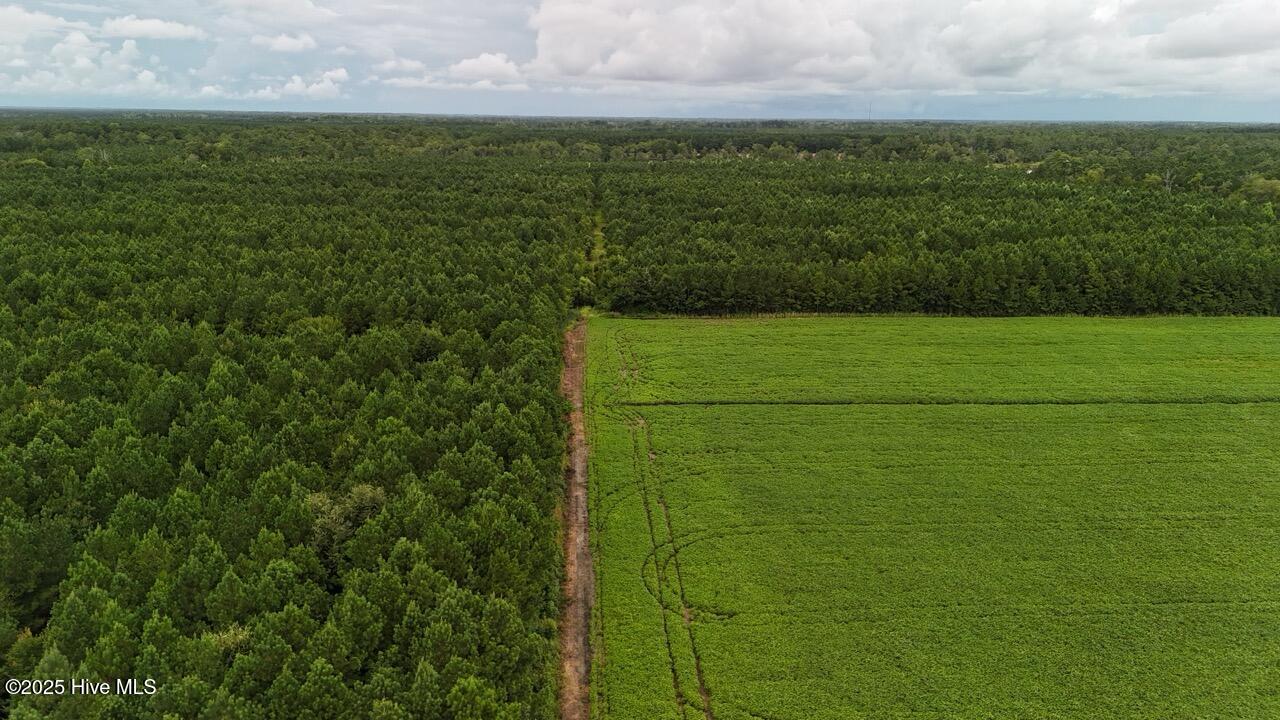Off Oriental Road Oriental, NC 28571 - Photo 5 of 29 DJI_20250812142738_0453_D Large