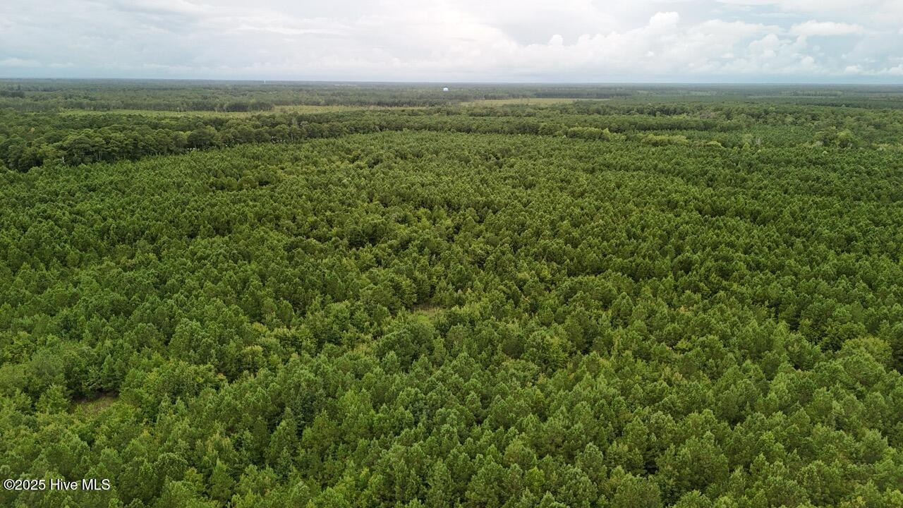 Off Oriental Road Oriental, NC 28571 - Photo 6 of 29 DJI_20250812142748_0454_D Large