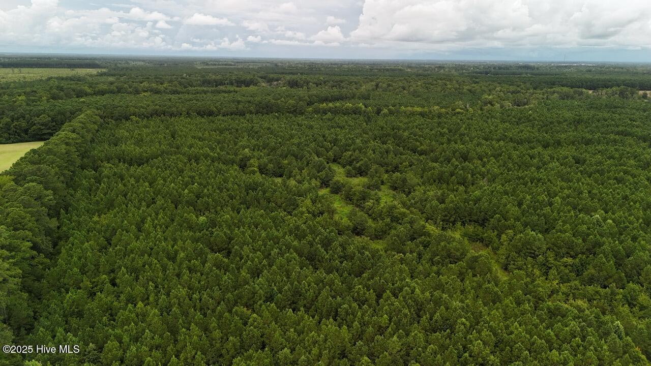 Off Oriental Road Oriental, NC 28571 - Photo 8 of 29 DJI_20250812142848_0456_D Large