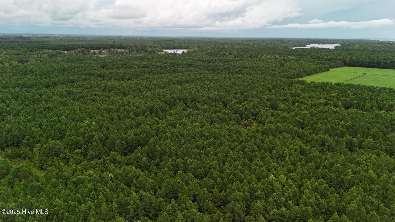 Off Oriental Road Oriental, NC 28571 - Photo 9 of 29 DJI_20250812142855_0457_D Large