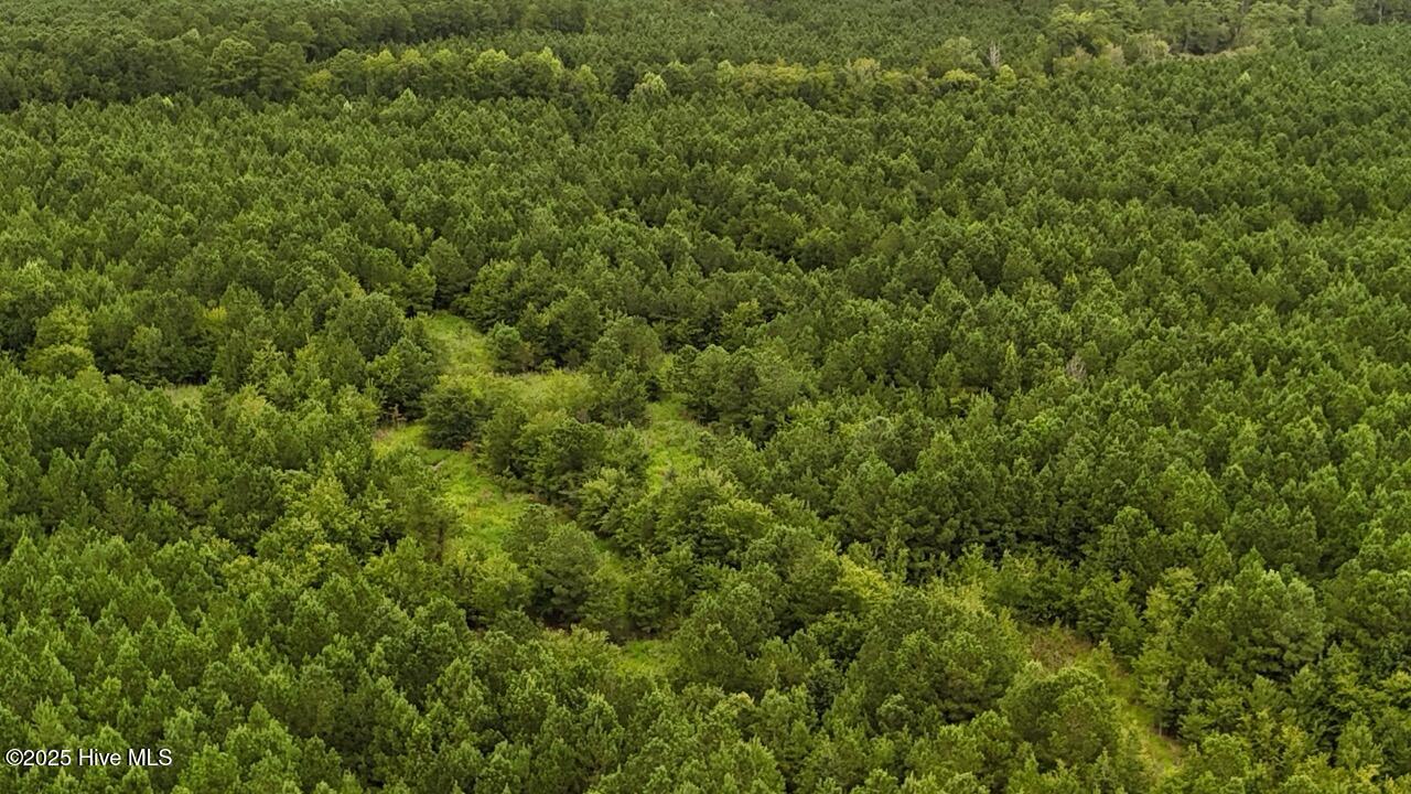 Off Oriental Road Oriental, NC 28571 - Photo 10 of 29 DJI_20250812142902_0458_D Large