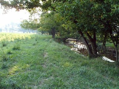 6 Plum Lick Road Mount Sterling, KY 40353 - Photo 2 of 7 Photo 2
