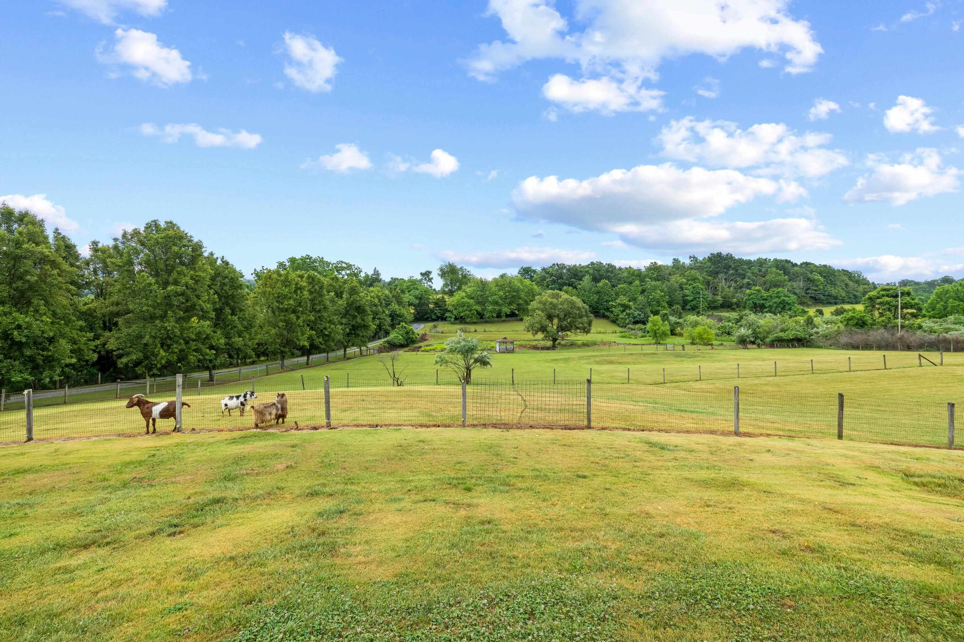 2425 Old Greenville Road Staunton, VA 24401 - Photo 11 of 67