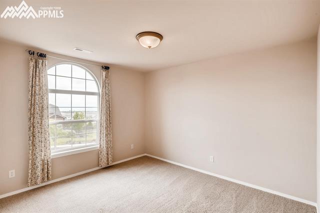 13753 Windy Oaks Road Colorado Springs, CO 80921 - Photo 23 of 28