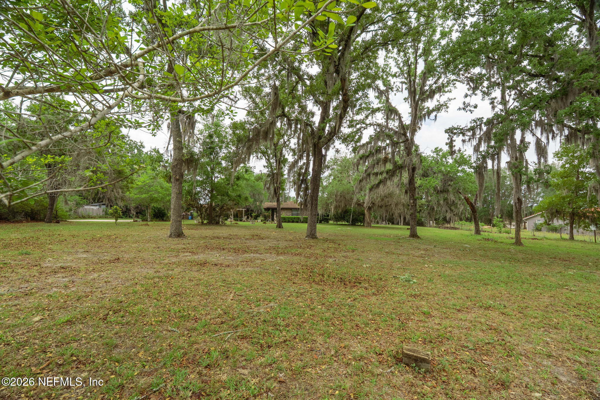 4145 Appaloosa Road Middleburg, FL 32068 - Photo 34 of 70 ISO_4145 Appaloosa Rd_MDB_FL _049