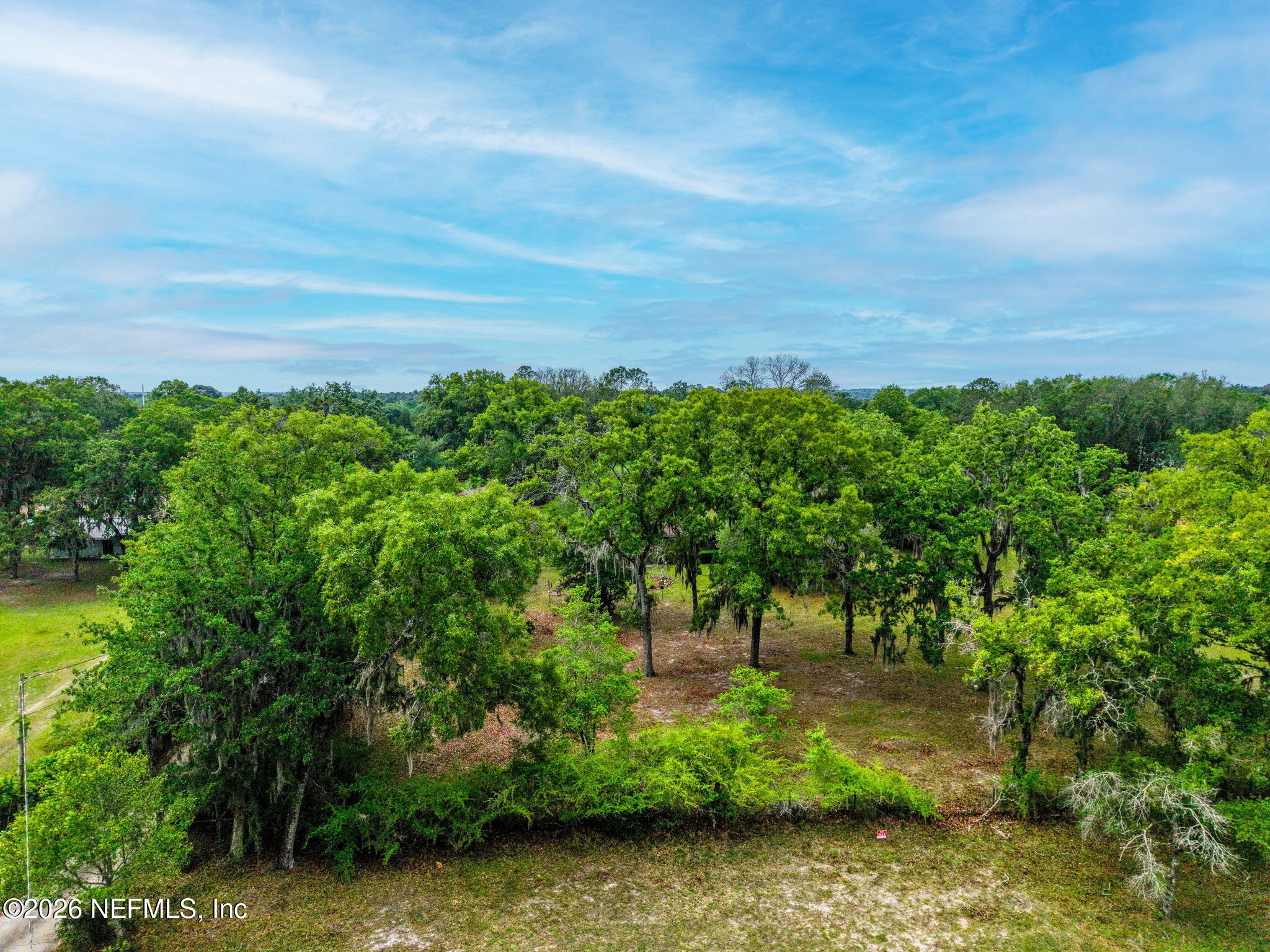 4145 Appaloosa Road Middleburg, FL 32068 - Photo 41 of 70 ISO_4145 Appaloosa Rd_MDB_FL _055