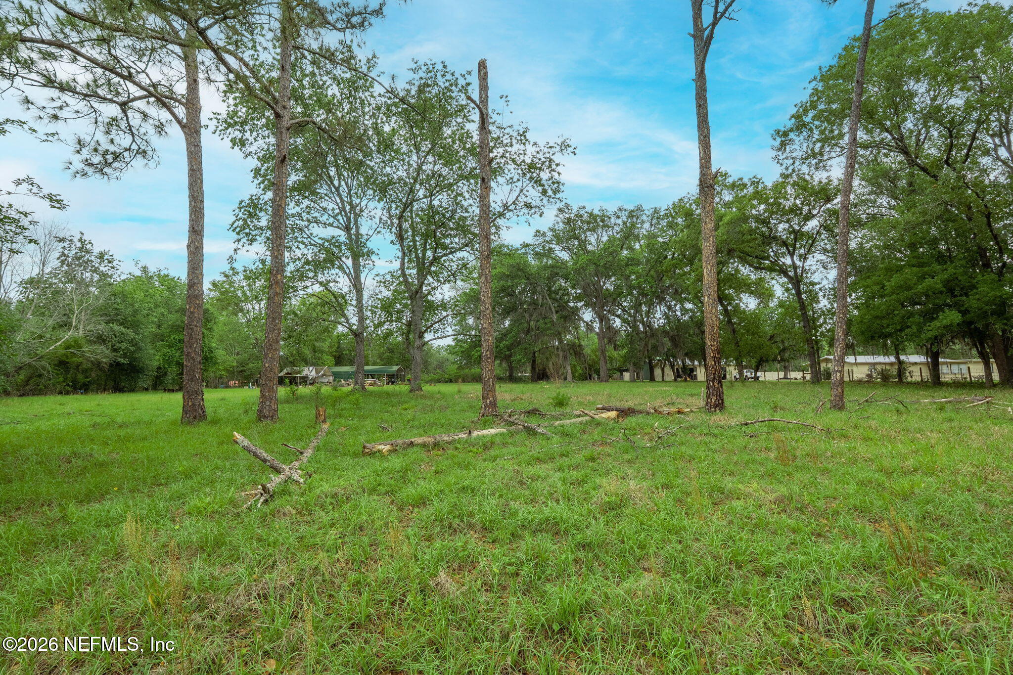 4145 Appaloosa Road Middleburg, FL 32068 - Photo 61 of 70 ISO_4145 Appaloosa Rd_MDB_FL _045