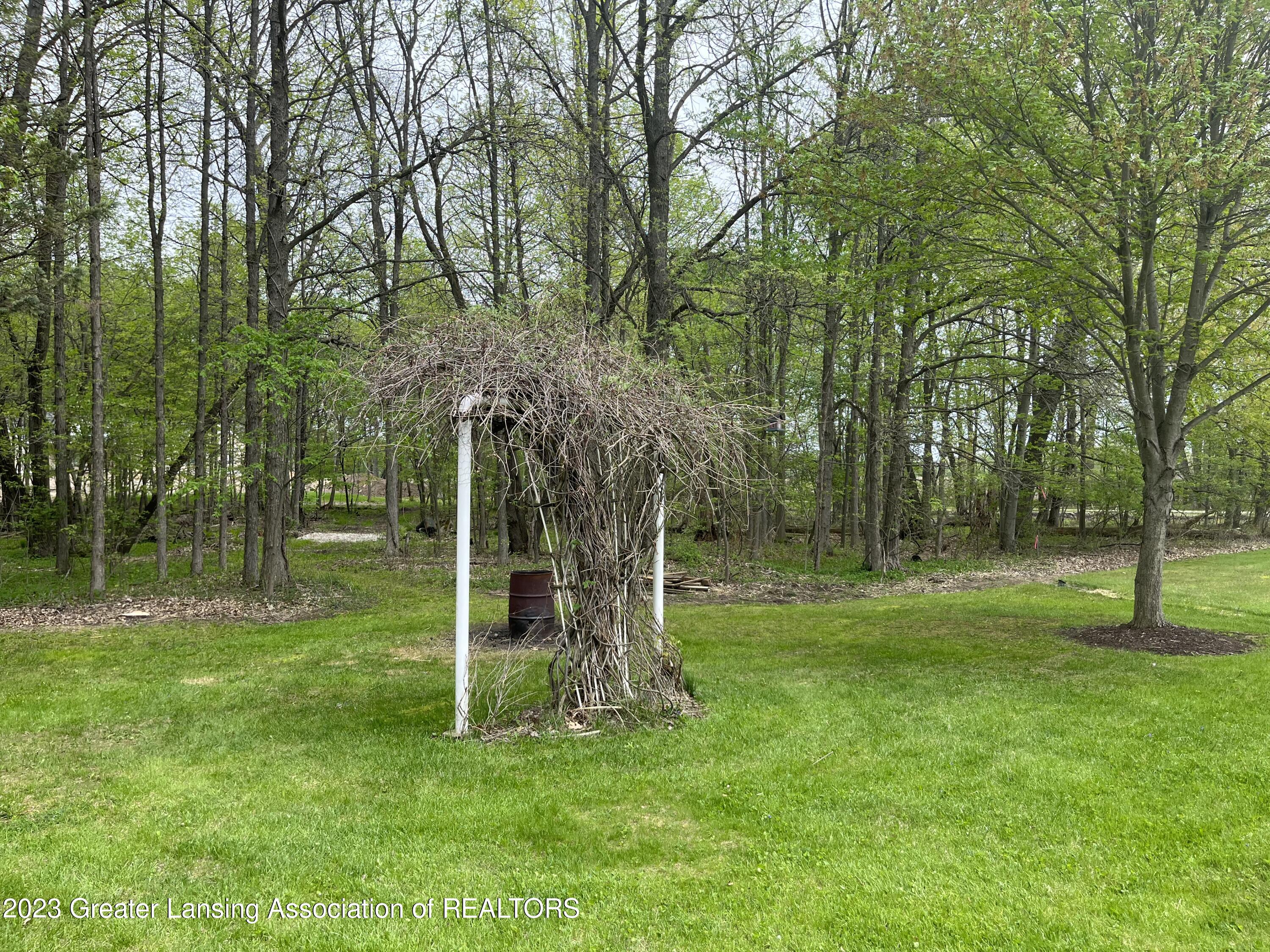 13451 South Beardslee Road Perry, MI 48872 - Photo 42 of 46 Back yard woods