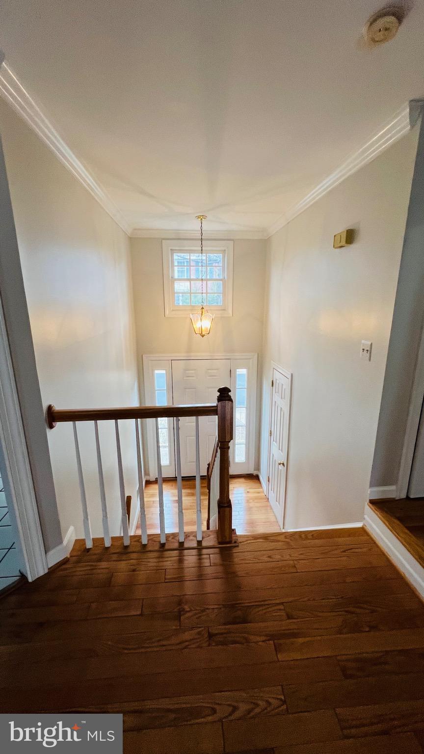 8035 Trevor Place Vienna, VA 22182 - Photo 28 of 48 a view of entryway with wooden floor