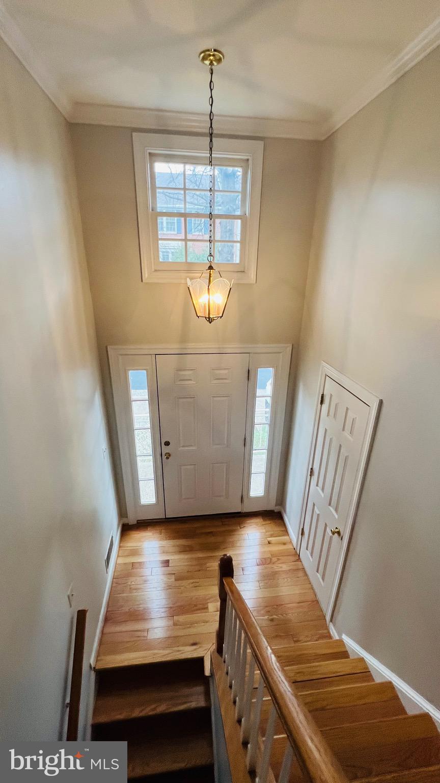 8035 Trevor Place Vienna, VA 22182 - Photo 29 of 48 a view of an empty room with window