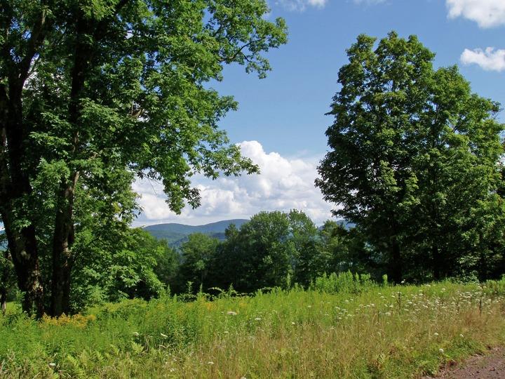 275 Lake View Estates Road Andes, NY 13731 - Photo 1 of 1