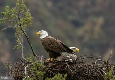 $625,000 | 614 Graystones Jeras Road, Albrightsville, PA 18210