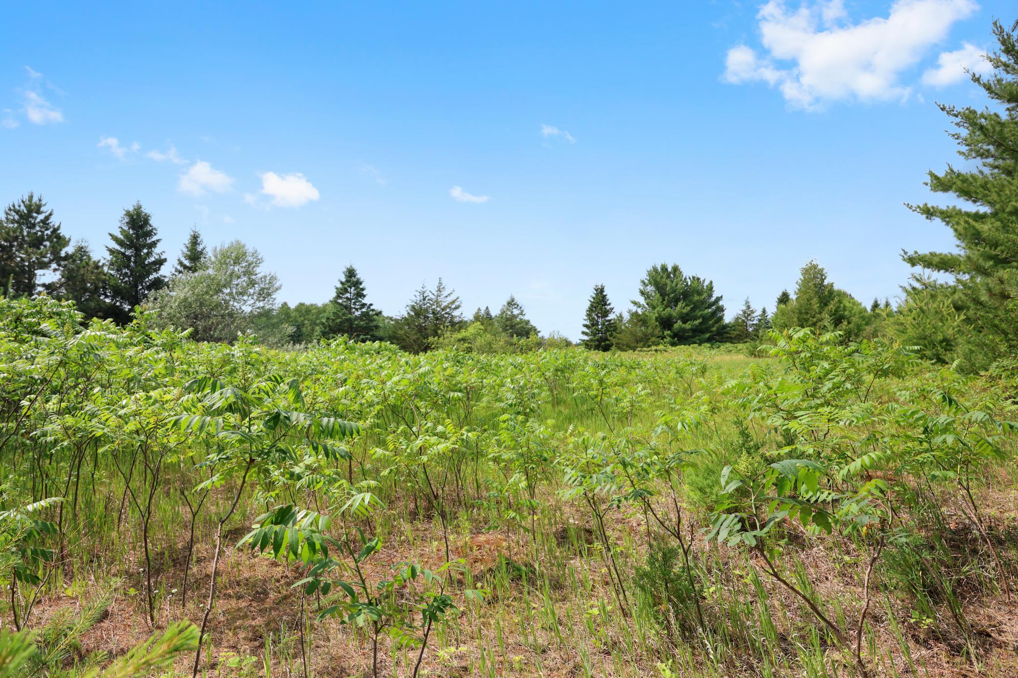 4040 Ricecliff Lane Rice, MN 56367 - Photo 108 of 124