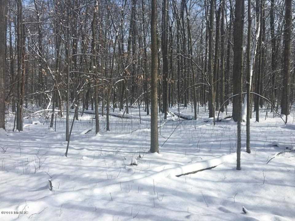 V/l Moore Road Tekonsha, MI 49082 - Photo 7 of 12