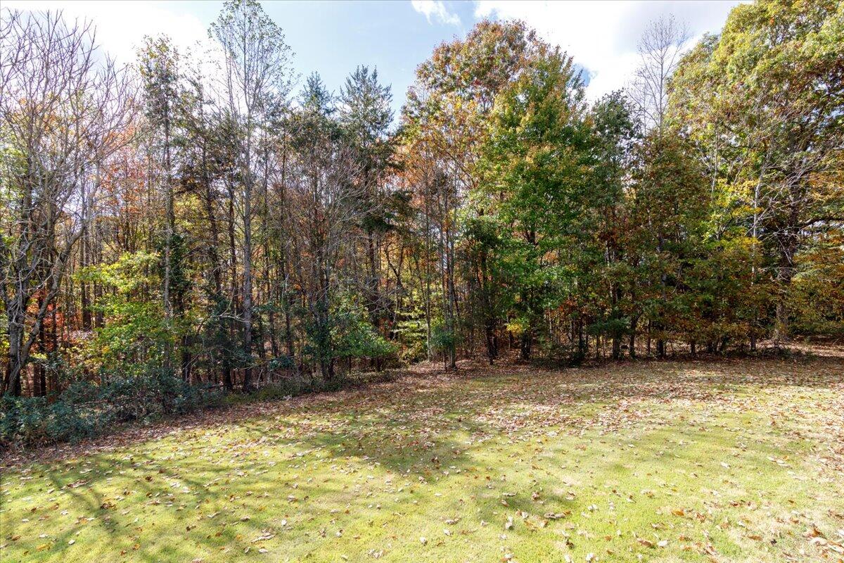 36 Nutmeg Lane Penhook, VA 24137 - Photo 16 of 37 a view of a yard with trees