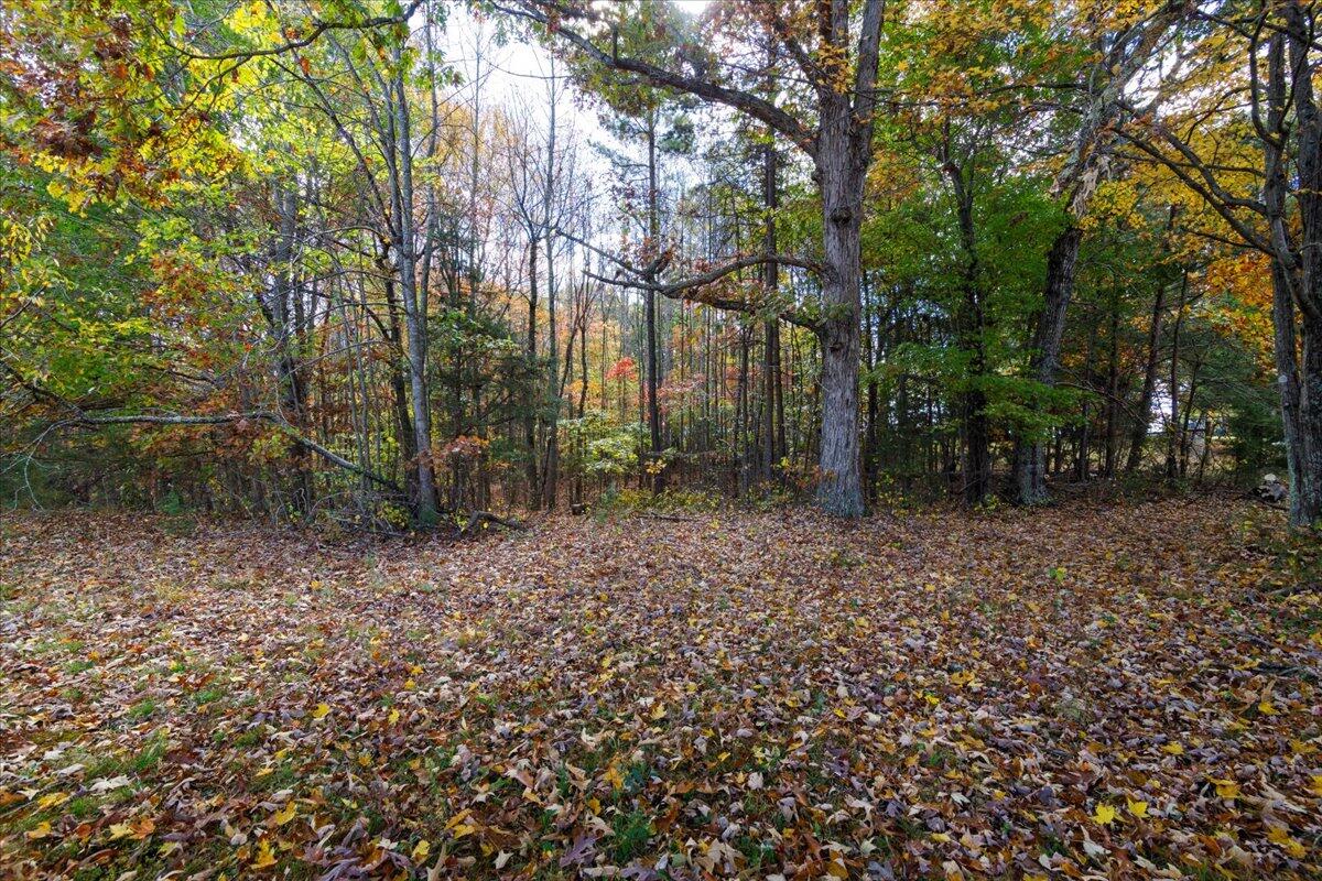 36 Nutmeg Lane Penhook, VA 24137 - Photo 28 of 37 a backyard of a house with lots of green space