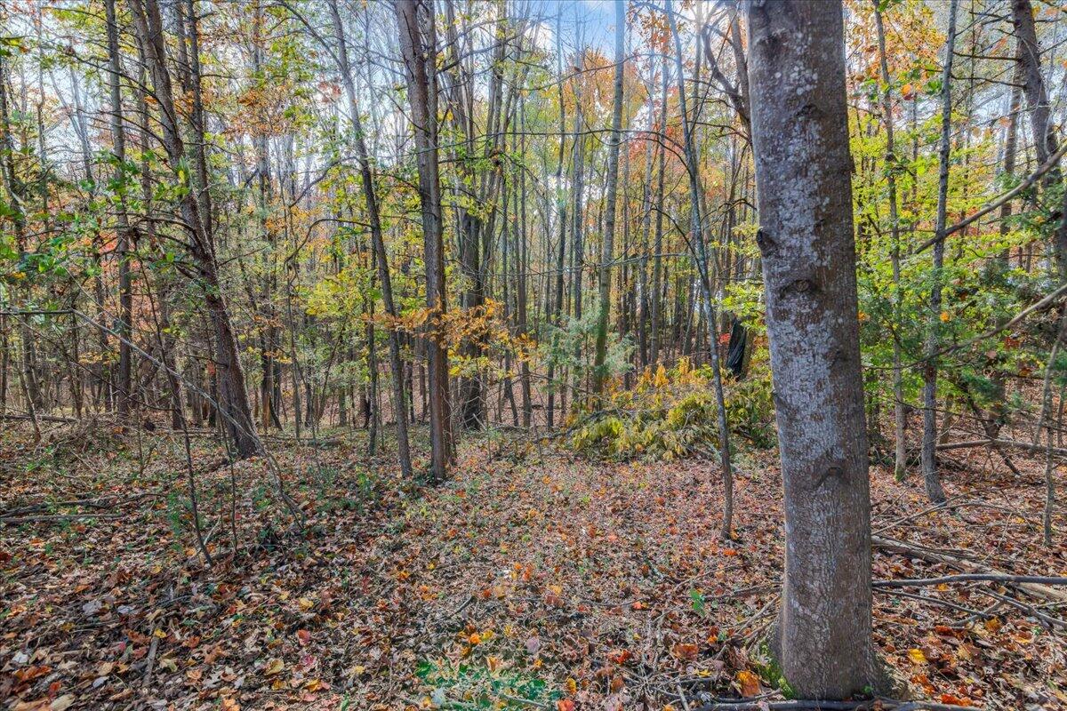 36 Nutmeg Lane Penhook, VA 24137 - Photo 31 of 37 a backyard of a house with lots of green space