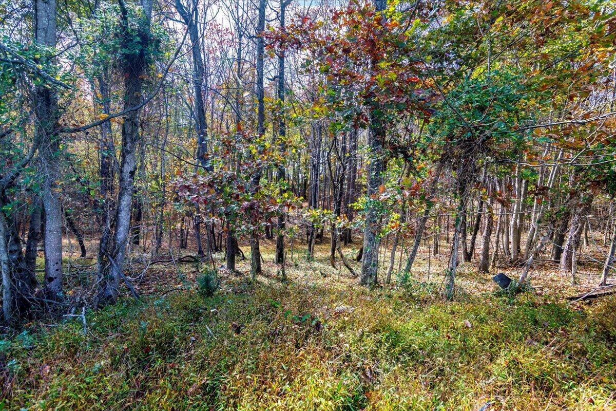 36 Nutmeg Lane Penhook, VA 24137 - Photo 34 of 37 a view of backyard