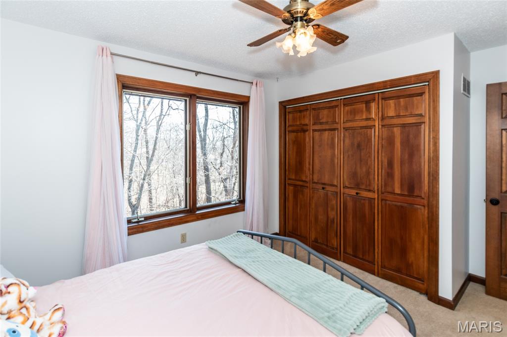 1570 Paradise Valley Drive High Ridge, MO 63049 - Photo 29 of 56