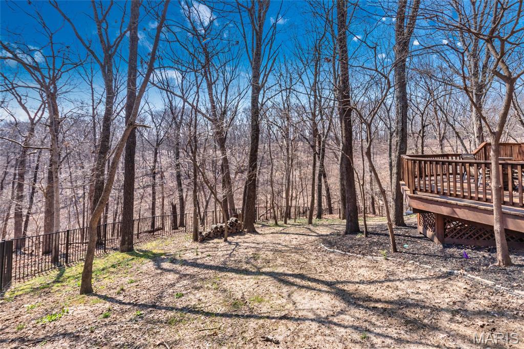 1570 Paradise Valley Drive High Ridge, MO 63049 - Photo 36 of 40