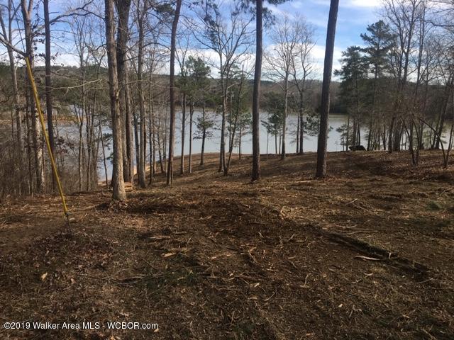 Lot 31 Edgewater Point Arley, AL 35541 - Photo 2 of 5 Gallery Image 2