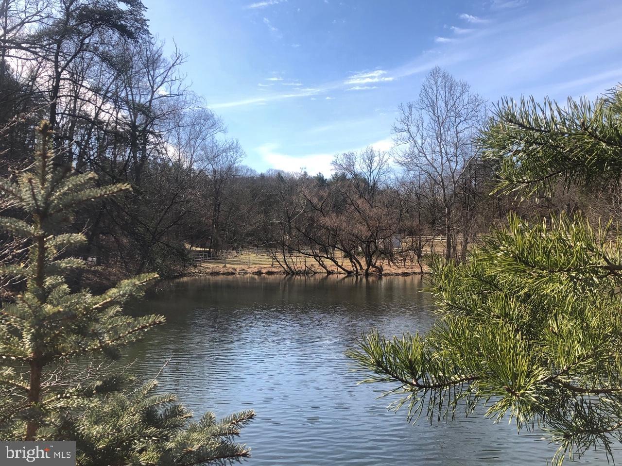 950 Ebenezer Church Road Gore, VA 22637 - Photo 1 of 25 Nearly 8 acres w/ spring fed pond, house shell etc