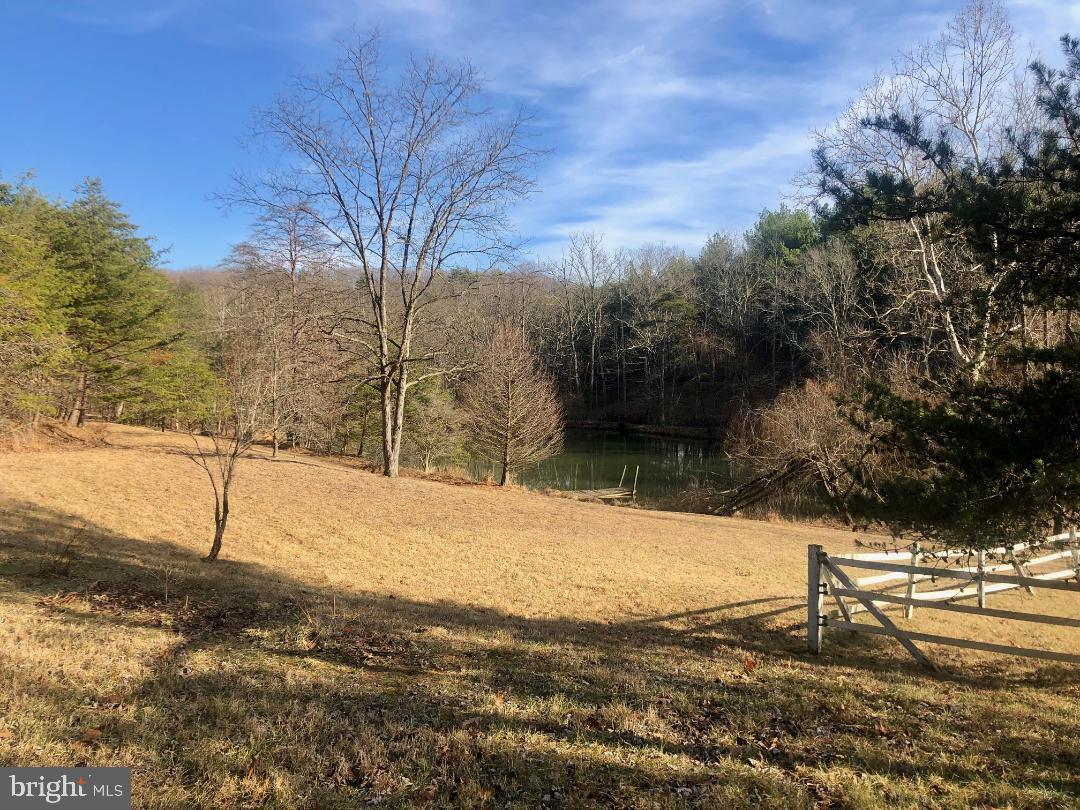 950 Ebenezer Church Road Gore, VA 22637 - Photo 14 of 25 Beautiful land on paved road
