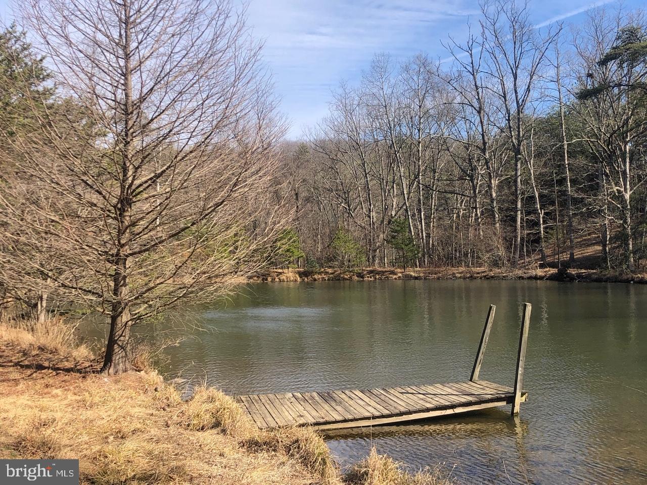 950 Ebenezer Church Road Gore, VA 22637 - Photo 19 of 25 Fish and boat in your own pond