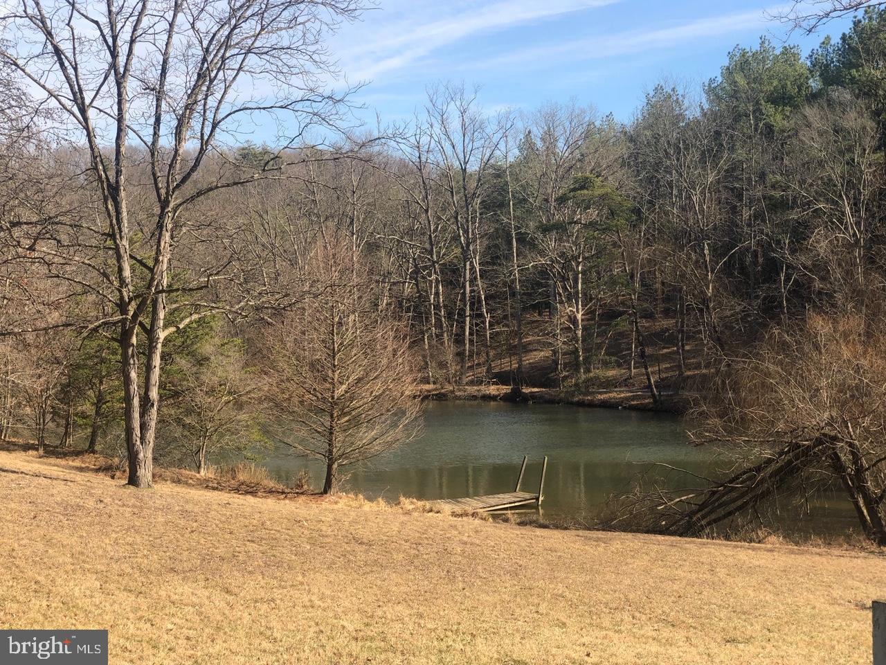 950 Ebenezer Church Road Gore, VA 22637 - Photo 20 of 25 View from house.