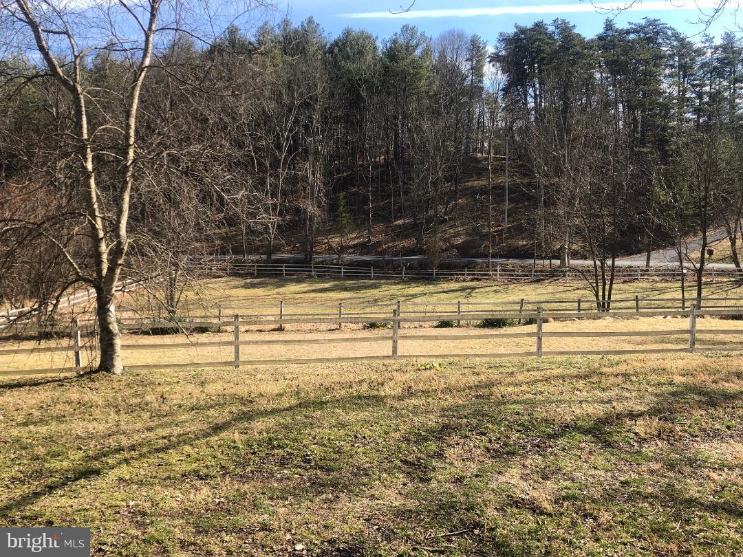 950 Ebenezer Church Road Gore, VA 22637 - Photo 21 of 25 Gorgeous land