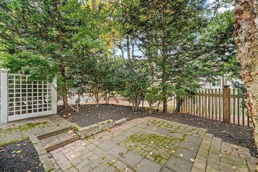 104 Church Street Winchester, MA 01890 - Photo 33 of 42 a view of a backyard with a tree