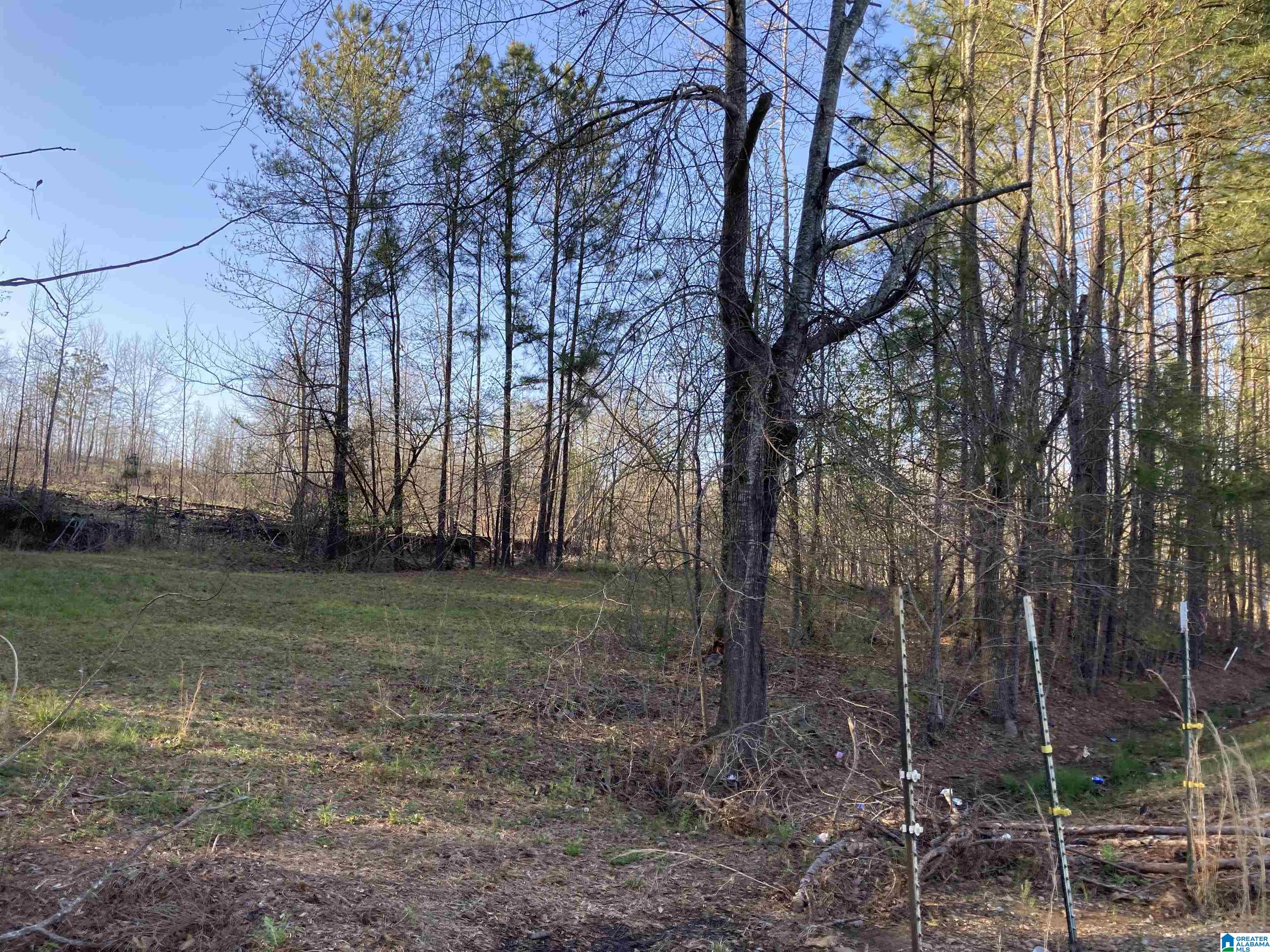 0 Jackson Trace Road, Unit 4 1 Talladega, AL 35160 - Photo 27 of 27