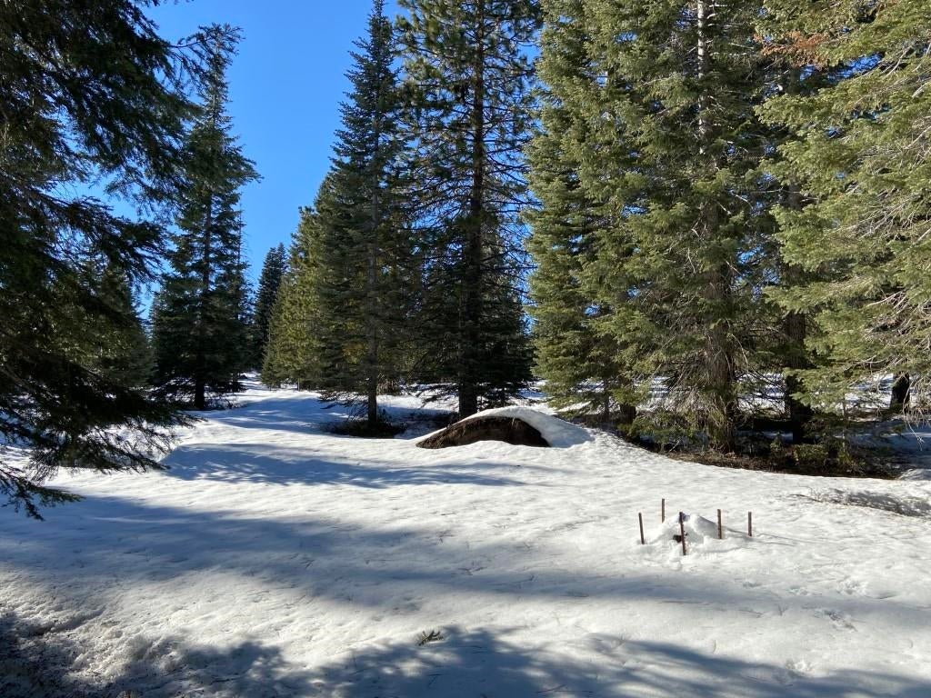 4-e-25 Ridge Drive McCloud, CA 96057 - Photo 12 of 18 Gallery Image 12