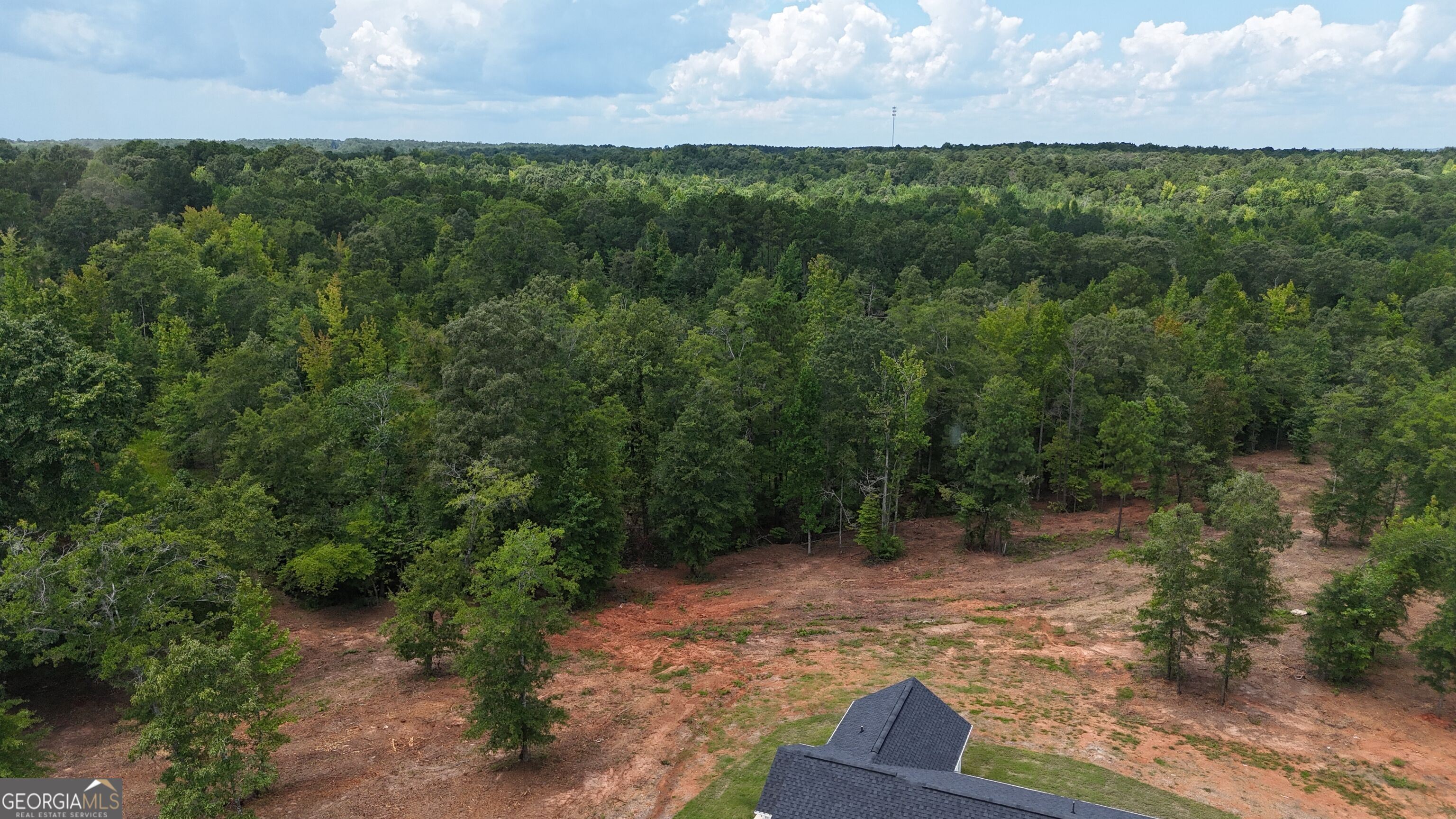 331 Andrews Mill Road Greenville, GA 30222 - Photo 4 of 38 Gallery Image 4