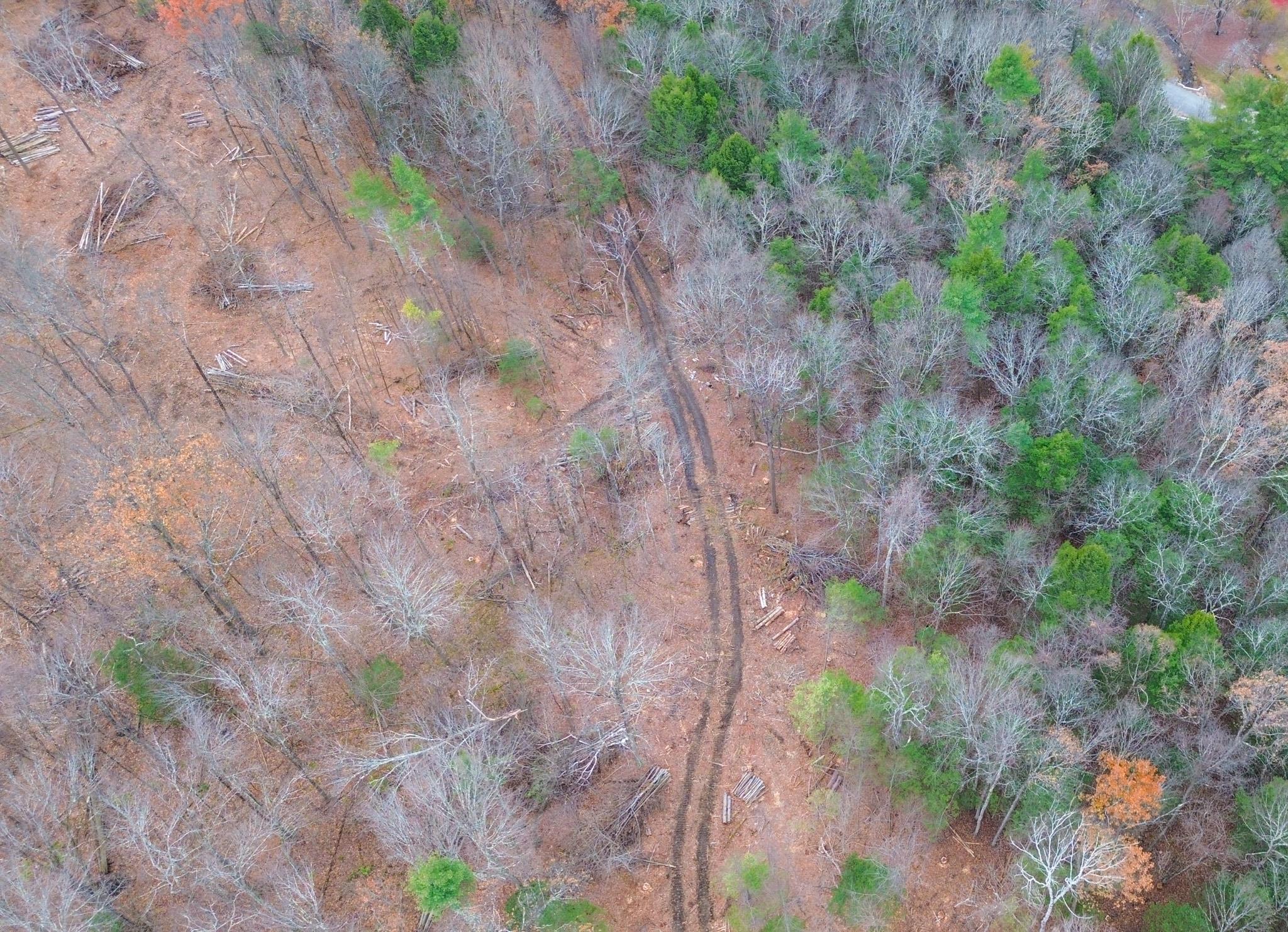 Lot 26-4 Plain Road Hinsdale, NH 03451 - Photo 10 of 13